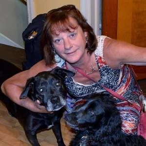 Meet your Posher, Joyce